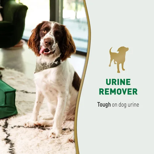Miniatura 3 de Nature's Miracle Removedor de orina para perros, 128 onzas, fórmula enzimática, multicolor, 128.00 onzas líquidas (paquete de 1)