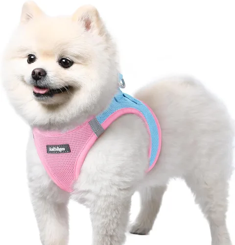 Miniatura 139 de rabbitgoo Arnés para perro pequeño, chaleco de malla suave para cachorros con hebilla de seguridad, arnés reflectante transpirable para mascotas