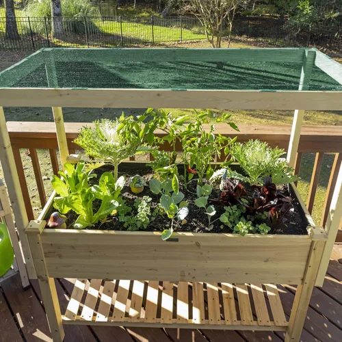 Miniatura 4 de Coolaroo Tela de sombra de jardín con 50% de bloqueo UV para plantas, tela transpirable resistente al desgarro para invernaderos, plántulas y Verde