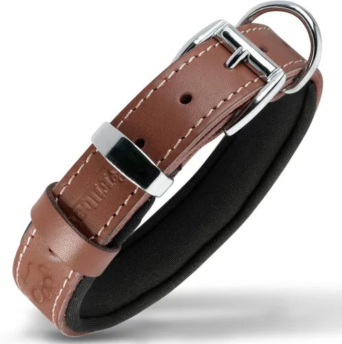 Miniatura 14 de Filbert Collar de cuero para perro, collar de cuero genuino para perros pequeños, estampado de patas en relieve con hebilla, grano completo curtido
