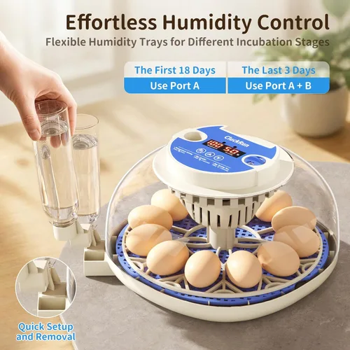 Miniatura 6 de Incubadora de 12 huevos con pantalla de temperatura y humedad, giro automático de huevos, vela de huevos, recarga automática de agua, para huevos