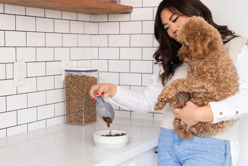 Miniatura 8 de Pearhead Ceramic Bone Appétit - Cuenco para perros, capacidad para 2 tazas, plato de gres para alimentos y agua, comedero para mascotas gris y Tazón