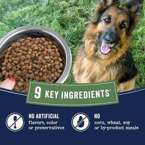 Miniatura 7 de Canidae Pure - Receta para perros adultos, ingredientes limitados. Comida seca de primera para perros, libre de granos