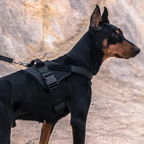 Miniatura 7 de EXCELLENT ELITE SPANKER Arnés táctico para perro, arnés de patrulla militar, chaleco de servicio para perro, chaleco militar para perro, chaleco