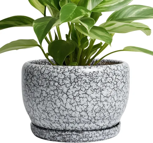 Miniatura 50 de SQOWL Macetas de cerámica – Maceta de 6 pulgadas con orificio de drenaje y bandeja, maceta redonda para plantas de interior, maceta decorativa