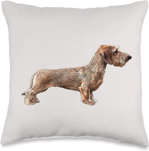 ElegantCat Wire Dachshund Mini Almohada de belleza en miniatura roja, 16 x 16 pulgadas, multicolor