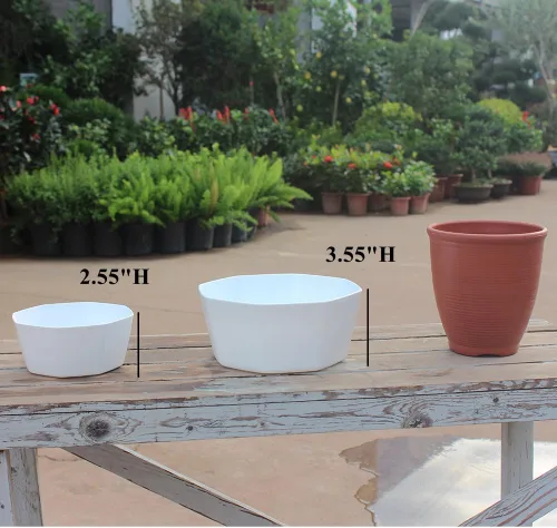 Miniatura 6 de Paquete de 8 macetas de plástico poco profundas de 8.00 pulgadas y 5.90 pulgadas, maceta octágono con bandeja para suculentas, cactus