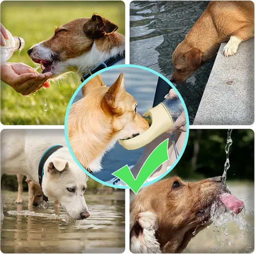 Miniatura 8 de Kalimdor Botella de agua para perros, dispensador de agua portátil de 12 onzas a prueba de fugas para cachorros con alimentador para mascotas