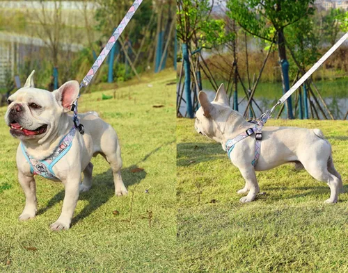Miniatura 2 de PT-010 Arnés sin tirones para perro y mascota, arnés de entrenamiento para caminar con correa chaleco reflectante (azul, S)