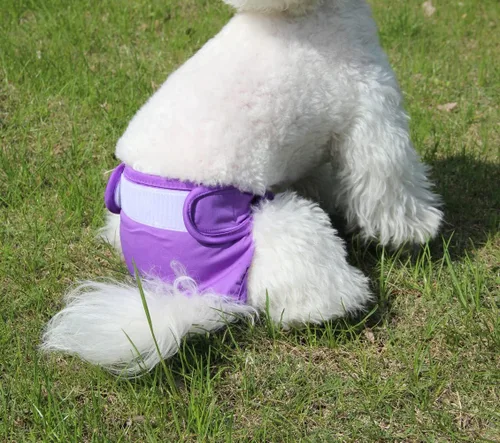Miniatura 8 de JoyDaog Pañales para perros pequeños, paquete de 4 pañales reutilizables para cachorros, S