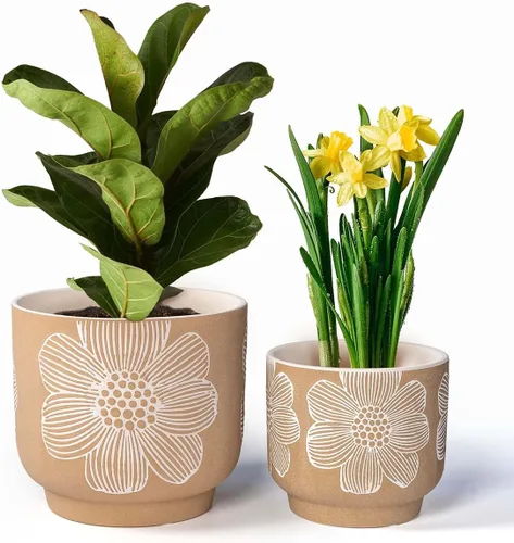 Miniatura 12 de Macetas de terracota con orificios de drenaje con decoración de abejas, macetas de cerámica para plantas de interior y exterior, suculentas