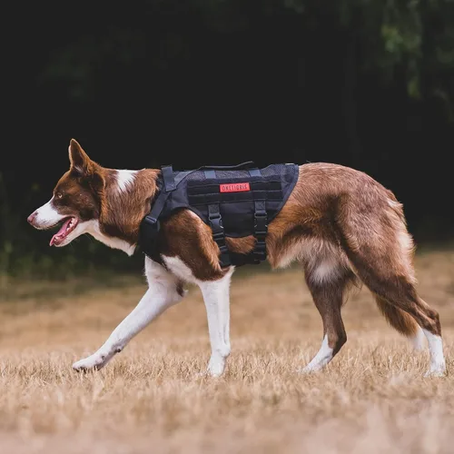 Miniatura 5 de OneTigris Arnés para perro sin tirón para perro pequeño, diseño de malla transpirable, chalecos militares Molle con asas para perros de servicio