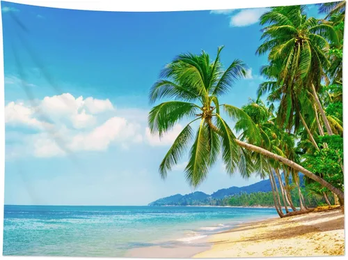 Miniatura 16 de HVEST Tapiz de playa para colgar en la pared, paisaje tropical azul océano, tapiz natural para dormitorio, palmera verde con cielo azul, nube