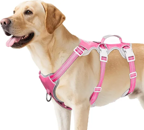 Miniatura 14 de Huntboo Arnés para perro a prueba de escape, arnés reflectante con mango acolchado, transpirable, duradero, chaleco ajustable para perros medianos