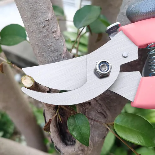 Miniatura 2 de Flower Scissors, Flower Shears High Strength Steel Sharp, Ergonomic Handle Pruning Shears for Gardening, Lightweight Garden Scissors, 1-inch Cut