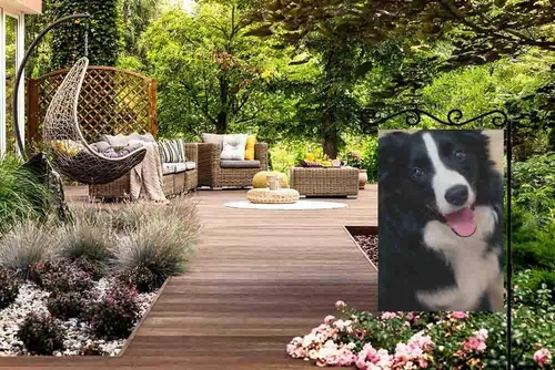 Miniatura 4 de AOYEGO Border Collie - Bandera de arpillera de doble cara de tela de alta calidad para perros, mascotas, cachorros, animales en blanco y negro