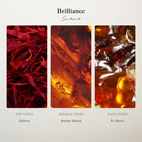 Miniatura 2 de Scentiment Brilliance - Aceite difusor, aroma de hotel prémium con notas de azafrán, madera de ámbar y resina de abeto, aroma para el hogar