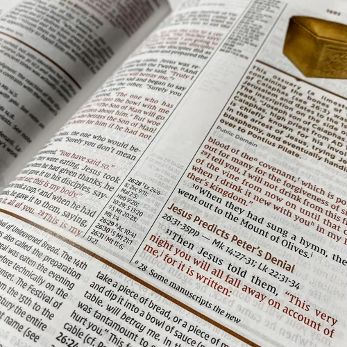 Miniatura 6 de Biblia de estudio NIV personalizada, marrón y azul, ilustrada a mano y grabada con láser, grabado personalizado de nombre disponible, regalo