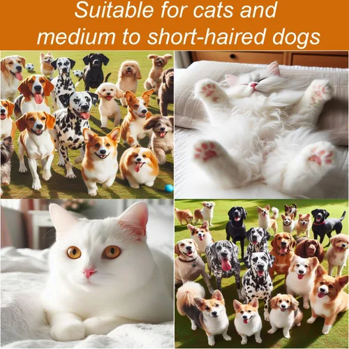 Miniatura 9 de Secador de pelo silencioso para mascotas de 300 W - Secador de pelo para mascotas para perros y gatos pequeños y medianos con peine extraíble