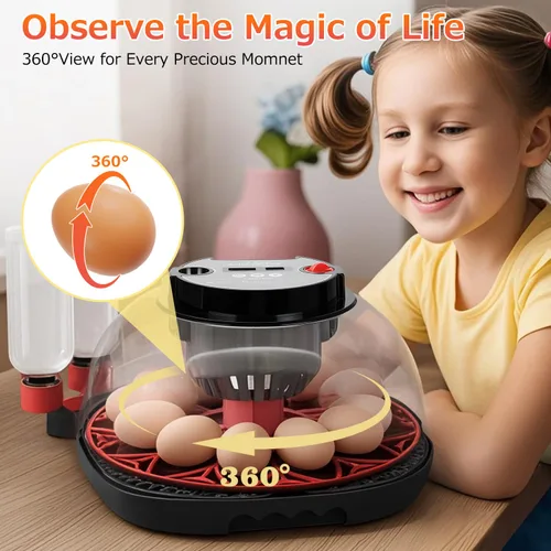 Miniatura 7 de 12 incubadoras de huevos para incubar huevos, incubadora automática de huevos con control de temperatura, control de humedad y pantalla para huevos