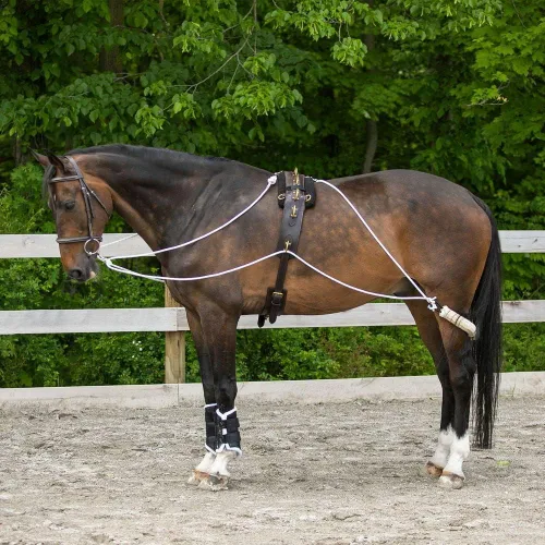 Miniatura 2 de Sistema de entrenamiento europeo avanzado Herramienta de entrenamiento avanzada Mejora el carro de caballos y los auriculares Fomenta
