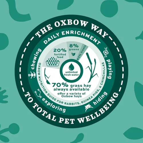 Miniatura 7 de Oxbow Essentials - Alimento para conejos, conejo joven, fabricado con Oxbow Timothy, pellets de comida para mascotas para conejos, productos