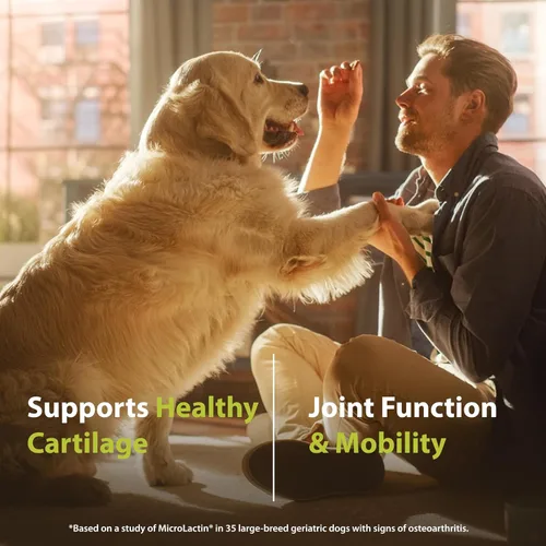 Miniatura 6 de PRN Pharmacal Duralactin Canine Joint Plus Soft Chews - Suplemento de salud articular para perros y cachorros - Apoyo para la movilidad de mascotas