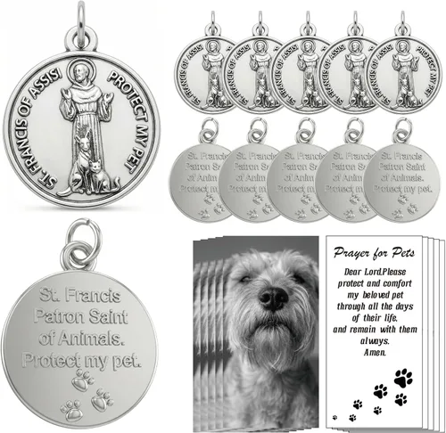 Miniatura 12 de Rlcvecv 10 piezas de medalla de San Carlo Acutis con juego de tarjetas sagradas, colgante de metal de San Carlos Acutis para collar, pulsera
