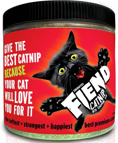 Fiend Hierba gatera + Silvervine para gatos y gatitos Mezcla de nip fina premium de corte seguro con vid plateada vegana + ultra potente, América
