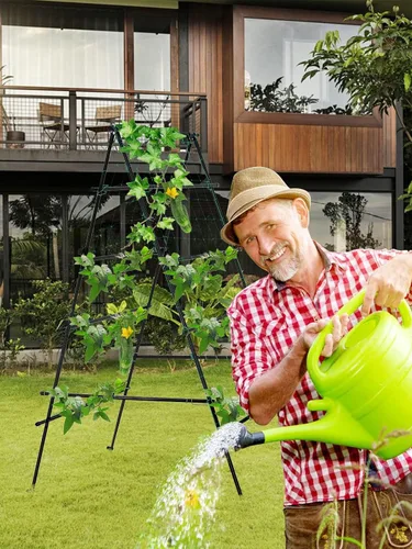 Miniatura 7 de Kalolary - Enrejado de jardín de 6 x 3 pies para plantas trepadoras, enrejado de cultivo de pepino de jardín con marco A a prueba de óxido, soporte