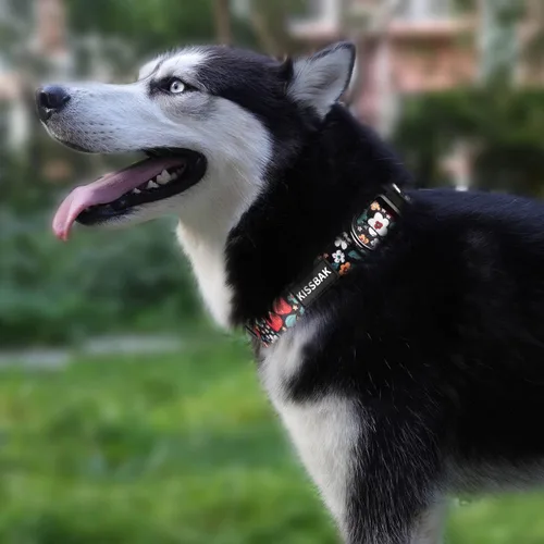 Miniatura 2 de Collar para perros medianos, diseño especial femenino, lindo collar para perritas, suave, ajustable, elegante y floral para cachorros (M, fresa)