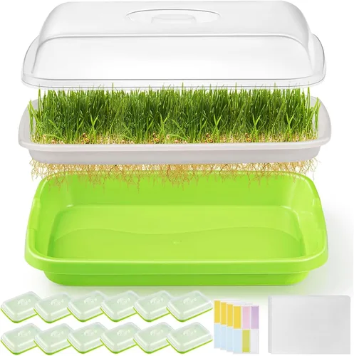 Miniatura 8 de Paquete de 6 bandejas de germinación de semillas verdes con tapa, bandeja de germinación de cultivo sin tierra, bandeja de vivero con papel