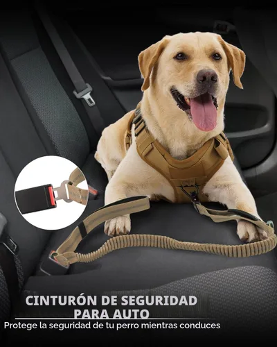 Miniatura 5 de Joytale Correa Táctica para Perro Resistente, de 4-6 pies, con Amortiguación de Goma y 2 Asas Acolchadas, Clip de Mosquetón Metálico, Cinturón