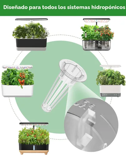 Miniatura 5 de Kit de cápsulas de semillas de hierbas gourmet compatible con AeroGarden, idoo, Ahopegarden, Gardencube con albahaca, perejil, tomillo, menta