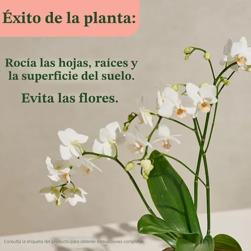 Miniatura 6 de Miracle-Gro Rocío de alimentos para plantas de interior para orquídeas, alimento para plantas de orquídeas, 8 onzas líquidas, paquete de 2 Niebla