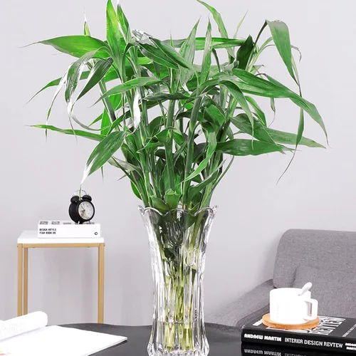 Miniatura 9 de Dicunoy Juego de 2 jarrones de flores de cristal, jarrones grandes de 9.5 pulgadas para centros de mesa, modernos jarrones acampanados de cristal