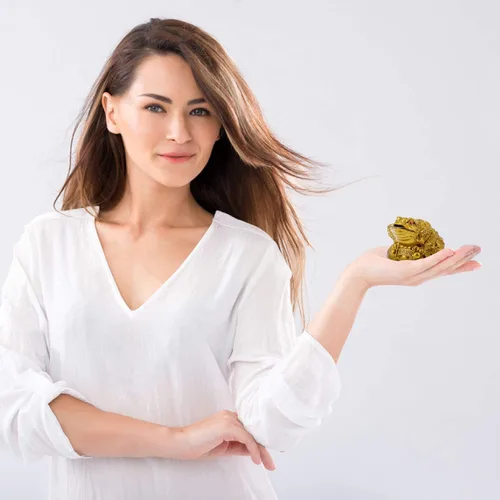 Miniatura 7 de Wschic Rana de Dinero Feng Shui, Decoración de Sapo de Dinero de la Suerte, Ideal para Atraer Riqueza