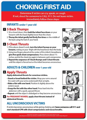 Safety Magnets by ZOCO - Imán de primeros auxilios de asfixia - Instrucciones de maniobra Heimlich para bebés, niños y adultos - Guía de seguridad