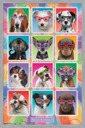 Miniatura 15 de Trends International Keith Kimberlin - Póster de pared con diseño de cachorros, gafas de sol, 14.725 x 22.375 pulgadas, versión enmarcada de madera