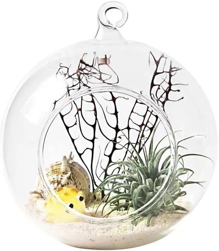 Miniatura 4 de Mkono Paquete de 2 macetas colgantes de vidrio para helechos de aire, jarrón colgante de plantas de terrario, decoración de Navidad, idea de regalo