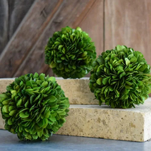 Miniatura 3 de Esfera decorativa de boj preservada, hojas de boj reales, plantas verdes, decoración del hogar para Navidad, Día de Acción de Gracias, regalos que