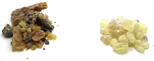Miniatura 2 de Govinda - Árbol de goma de incienso Copal (Oro) Sap1 lb