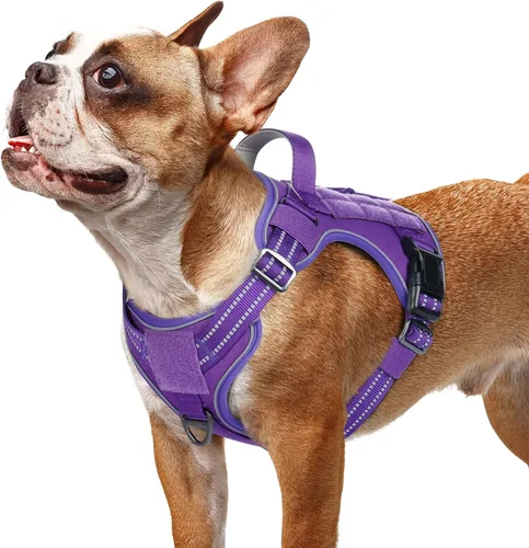 Miniatura 58 de rabbitgoo - Arnés para perros pequeño sin tirones, chaleco táctico de servicio con Molle y asa de control, arnés militar ajustable y reflectante
