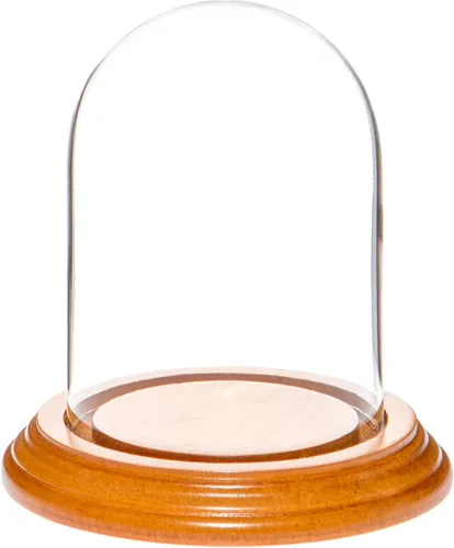 Plymor Cúpula de cristal de 3" x 4" (base de chapa de roble)
