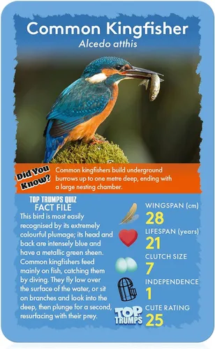 Miniatura 3 de Top Trumps Birds of the World Classics - Juego de cartas para descubrir algunos datos interesantes en este juego educativo lleno que incluye