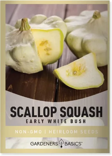 Semillas de calabaza festoneada para plantar, (arbusto blanco temprano), herencia de calabaza de verano, variedad de calabaza vegetal sin OMG,