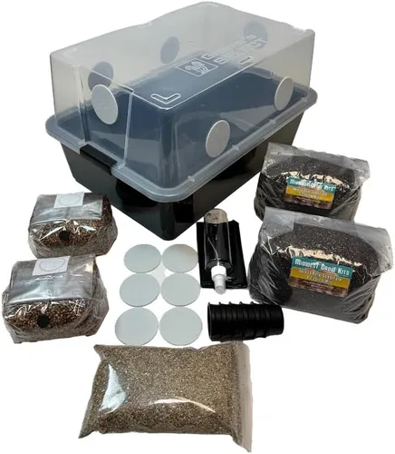 Kit de Cultivo Mushroom Monotub Grande 66Q | Kit Completo de Cultivo de Hongos | para Hongos Amantes del Estiércol | Incluye 2 Bolsas de Spawn de
