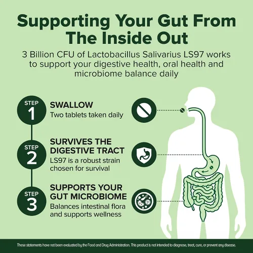 Miniatura 7 de Lactobacillus Salivarius probiótico 240 tabletas (suministro para 4 meses) - Cepa investigada LS97 - 3 mil millones de UFC - Soporte para la salud