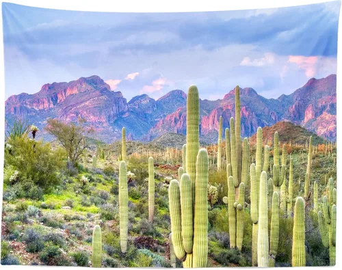 Miniatura 7 de BELECO Tapiz del desierto de Joshua Tree Paisaje, Parque Nacional, árboles extraños, tapiz de montañas rocosas, cielo azul, paisajes naturales