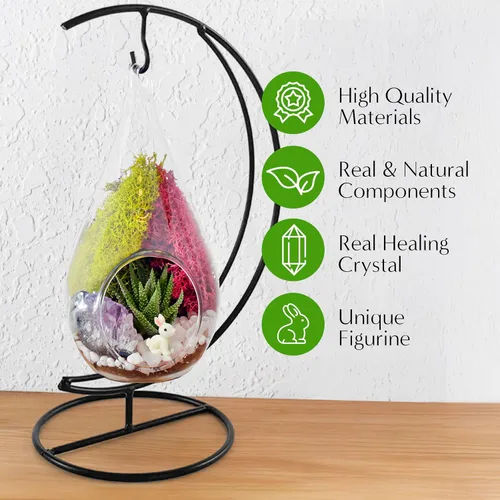 Miniatura 5 de Creations by Nathalie Kit de terrario casero de 18 cm en forma de lágrima con plantas vivas - Maceta colgante de vidrio con soporte para adultos